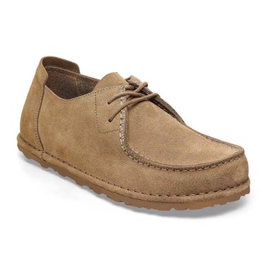 BIRKENSTOCK UTTI LACE SUEDE REGULAR SOLID GRAY TAUPE